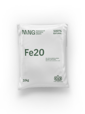 Fe20